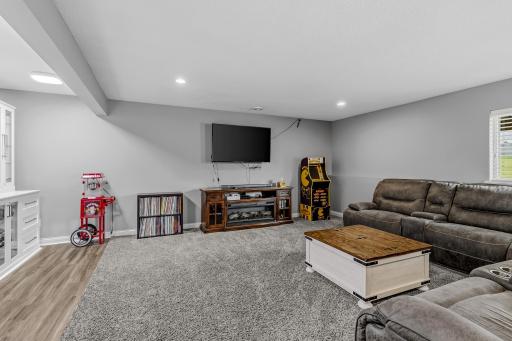 Lower level family room