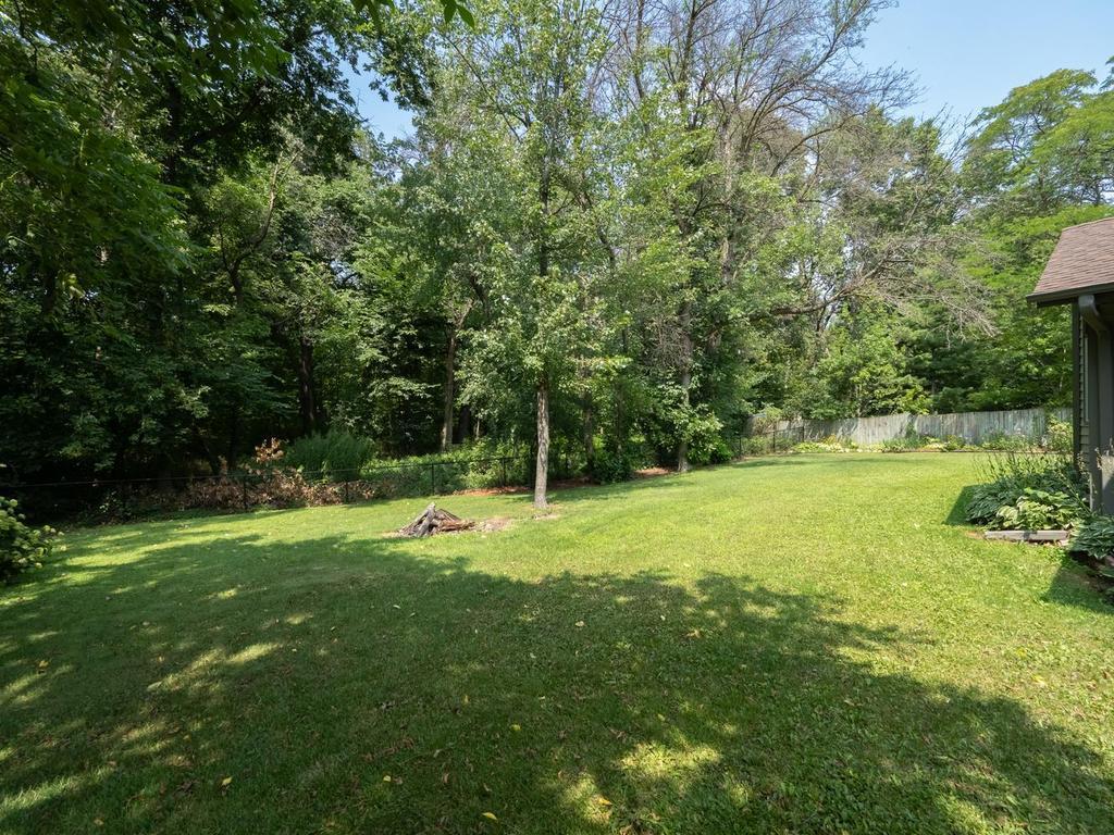 Wooded Backyard