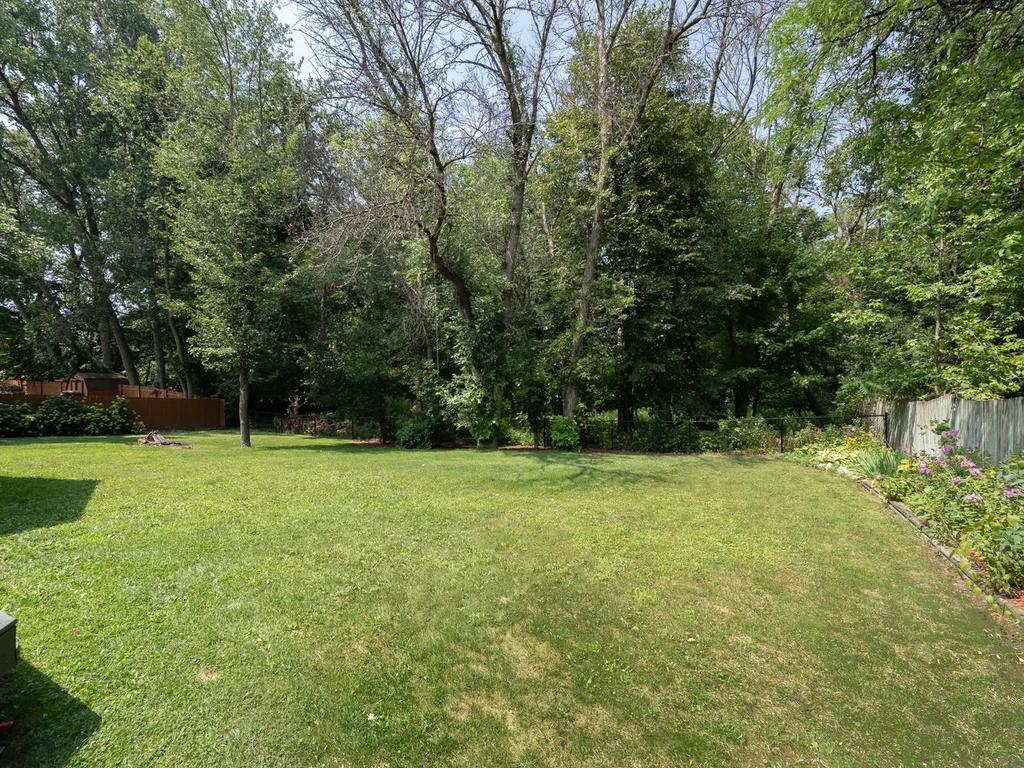 Large Backyard