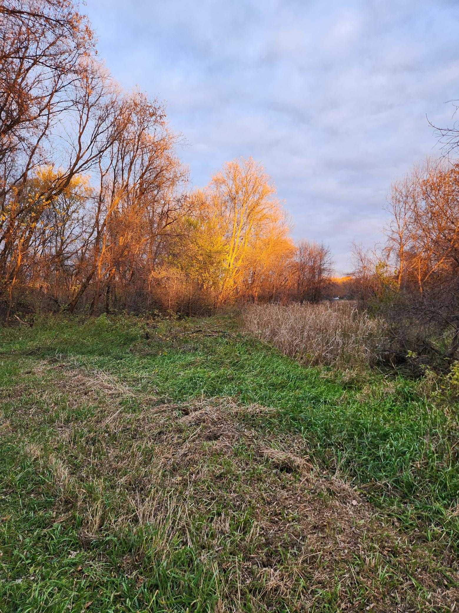 Elm Creek Wooded Area