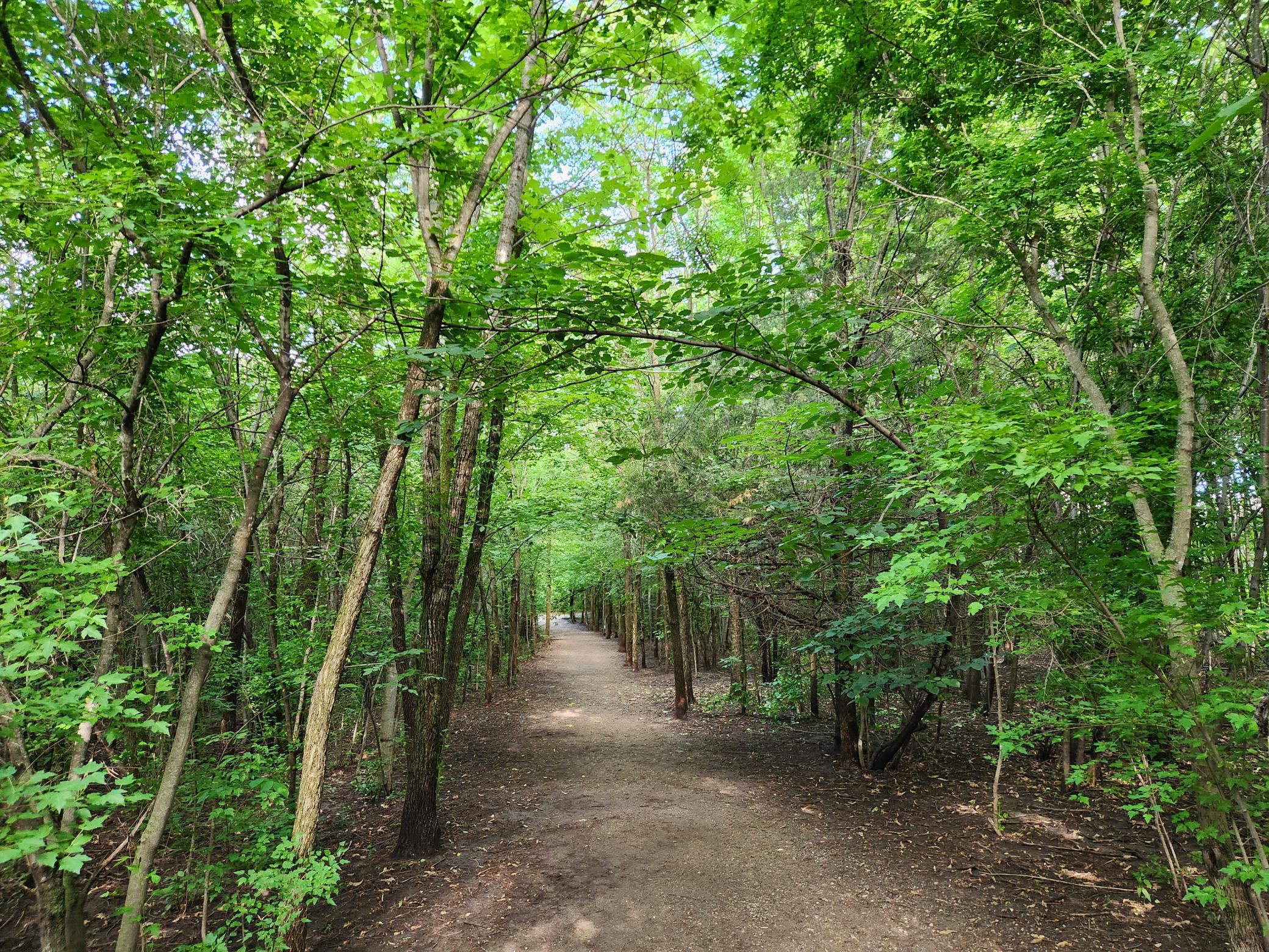 Elm Creek Walking Path