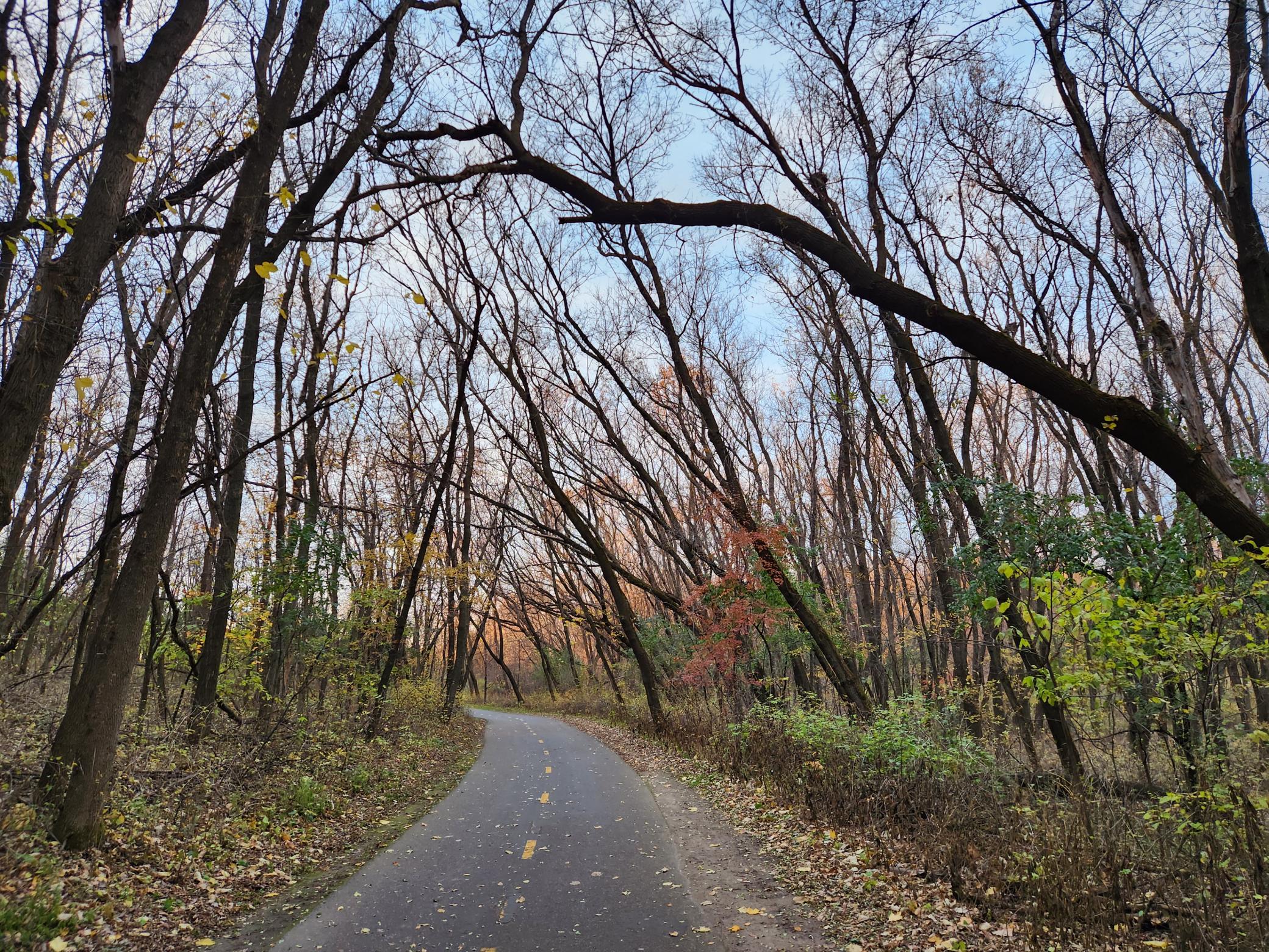 Elm Creek Walking Path