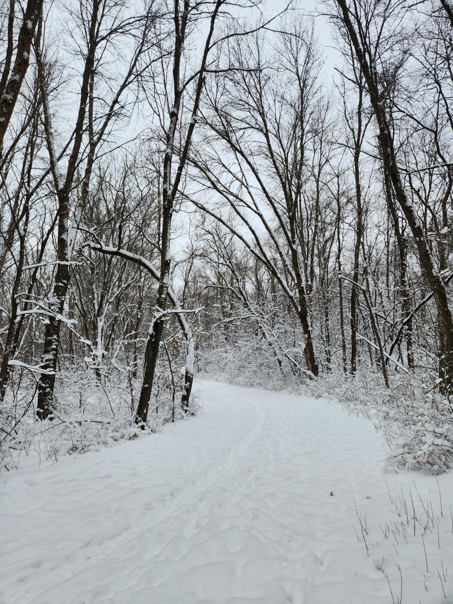 Elm Creek Walking Path
