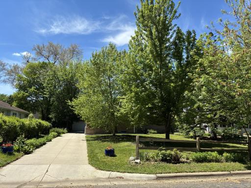 Great Variety of Trees