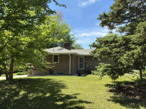 Large Front Yard