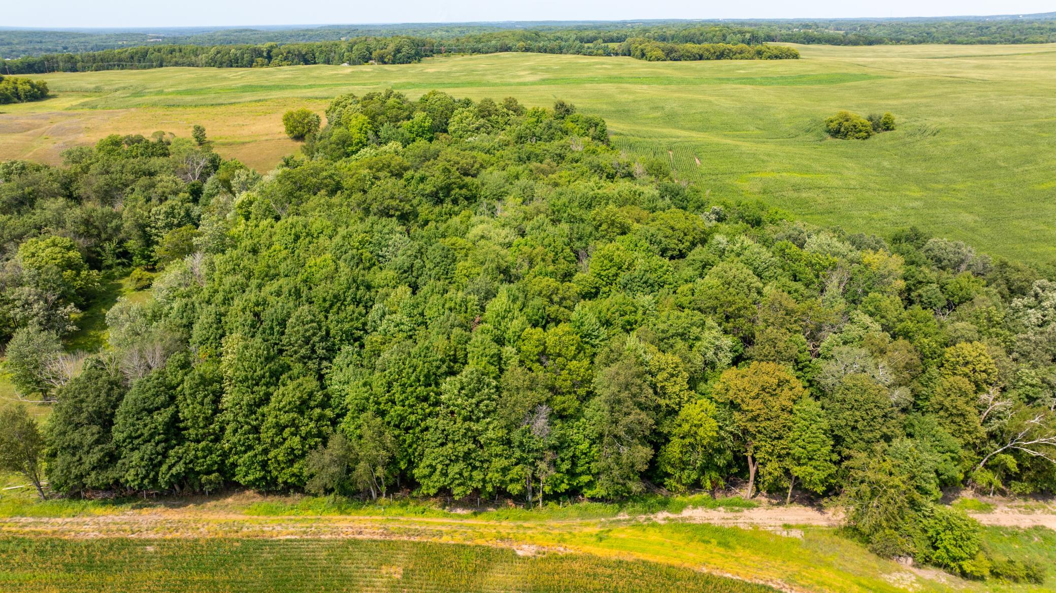 Looking over the property from the South side!