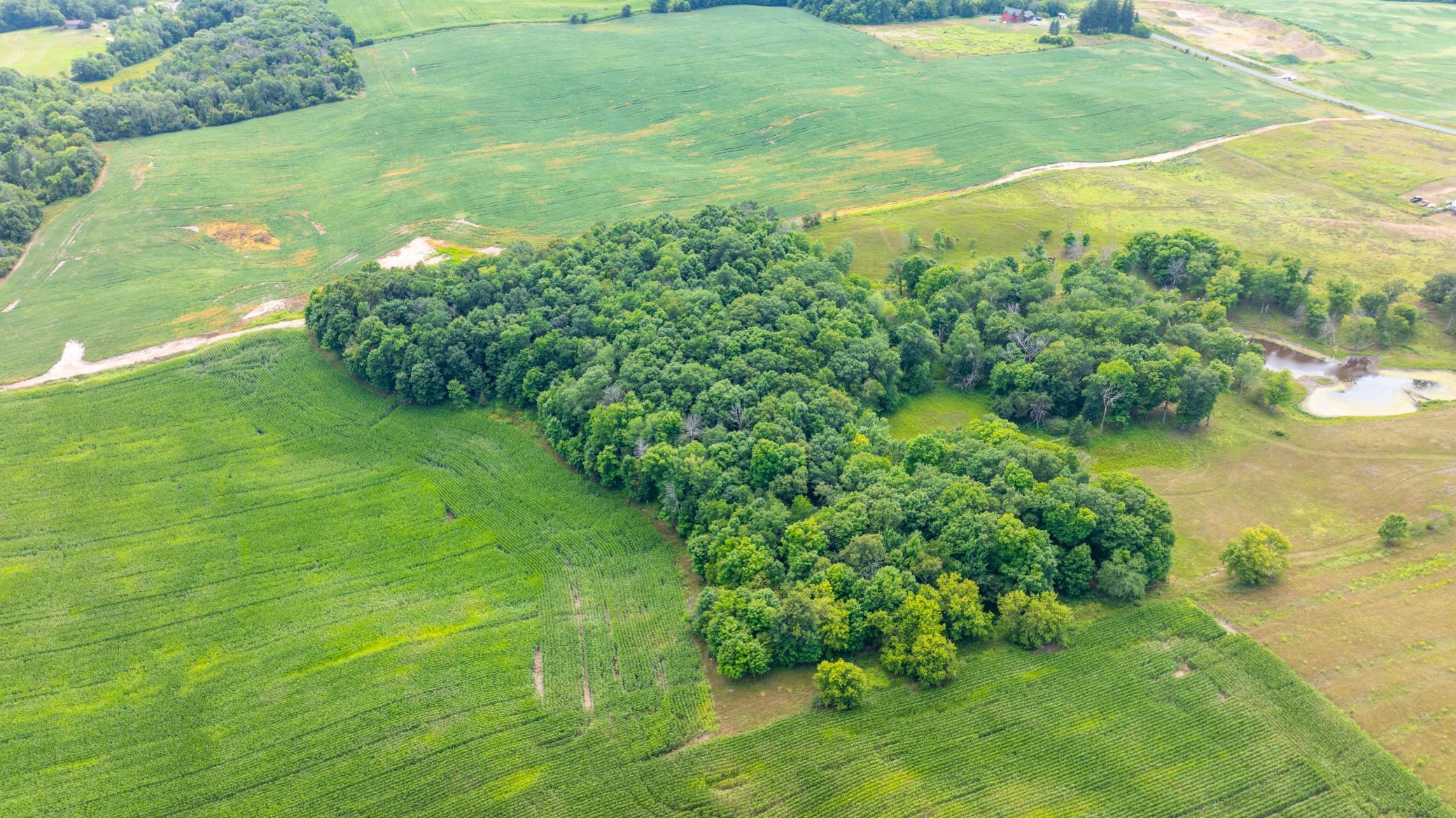 Surrounded by Ag fields!