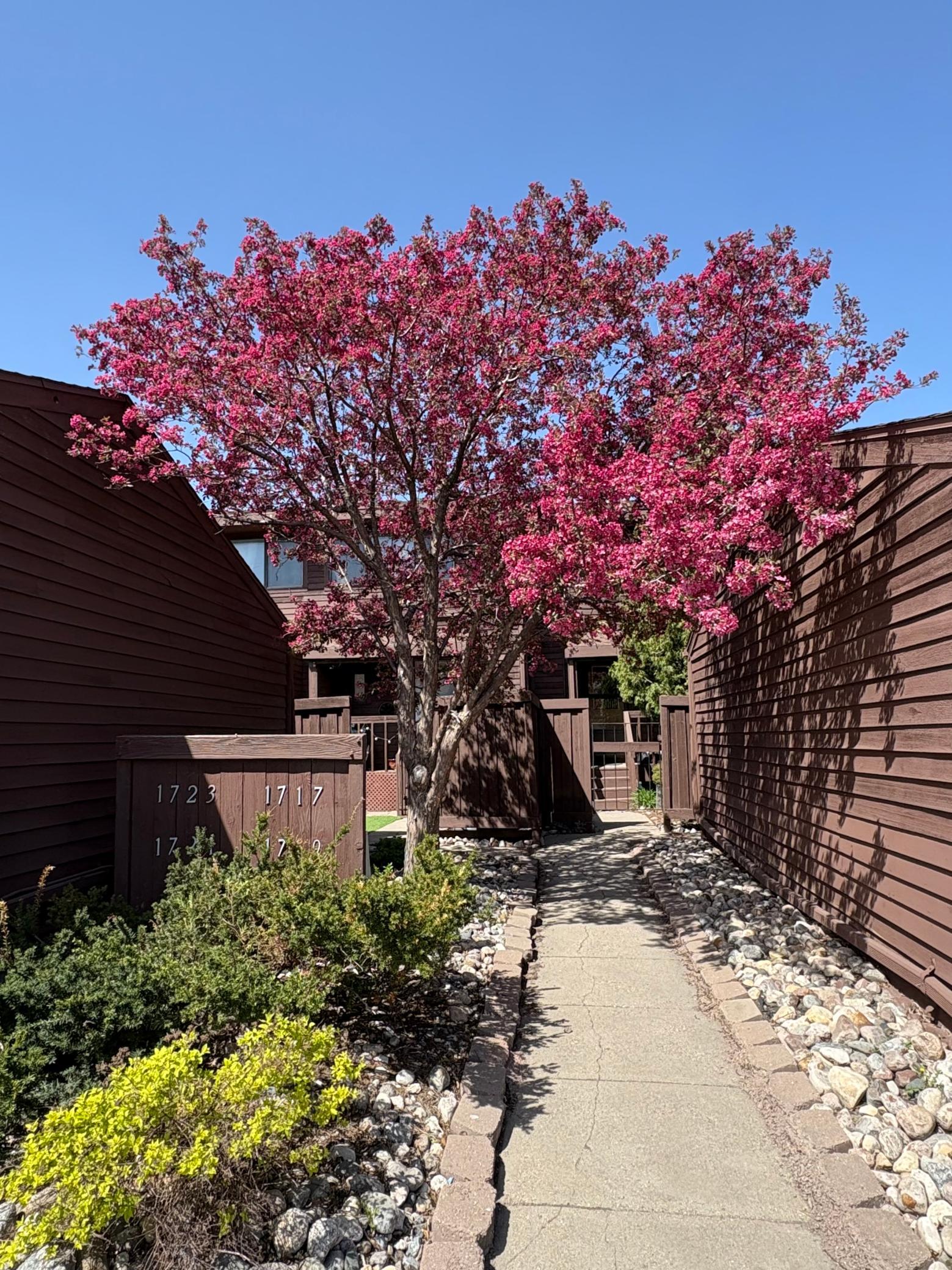 7124709