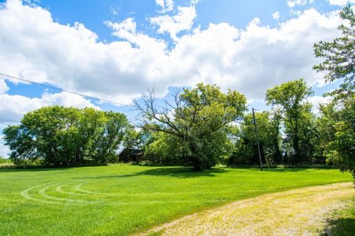 DSC_6579.jpg