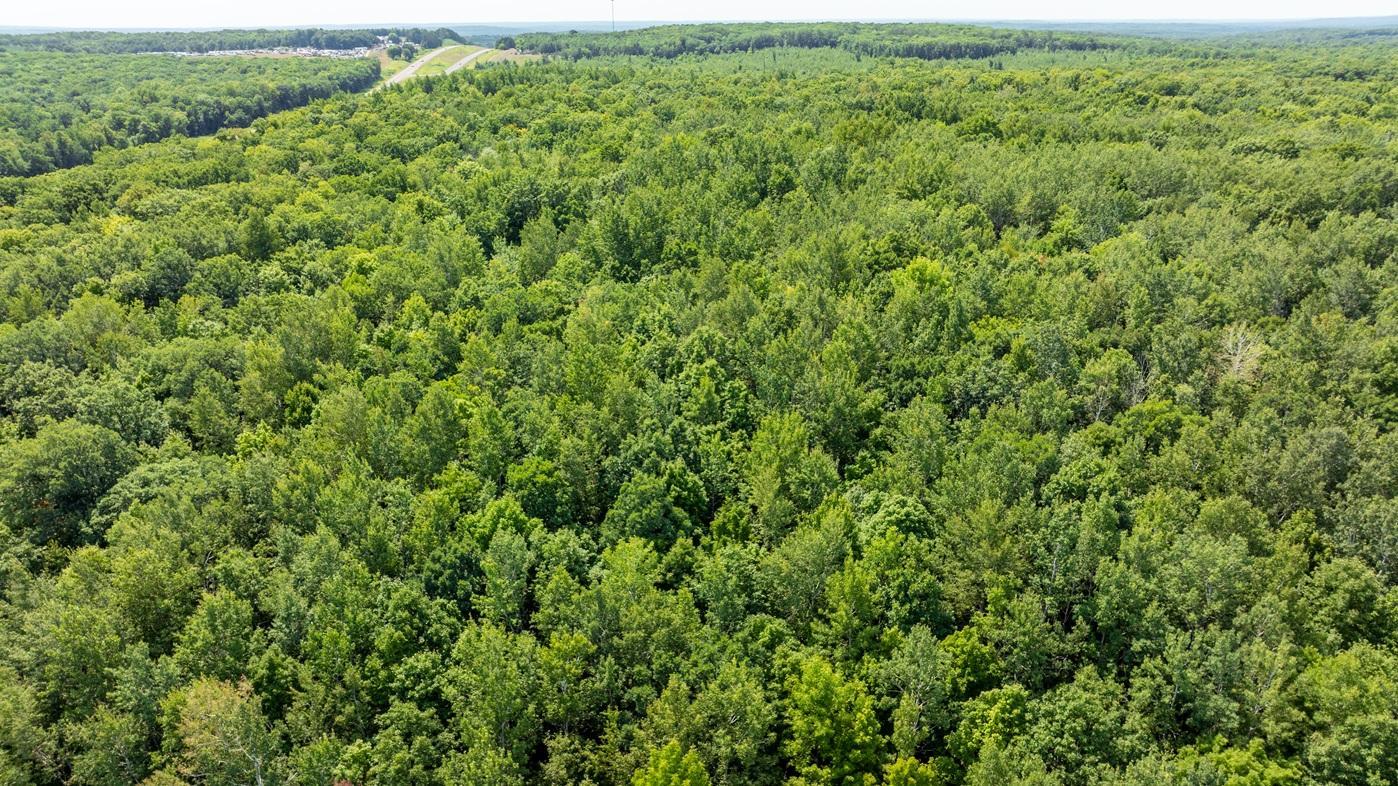 DJI_0433.jpg