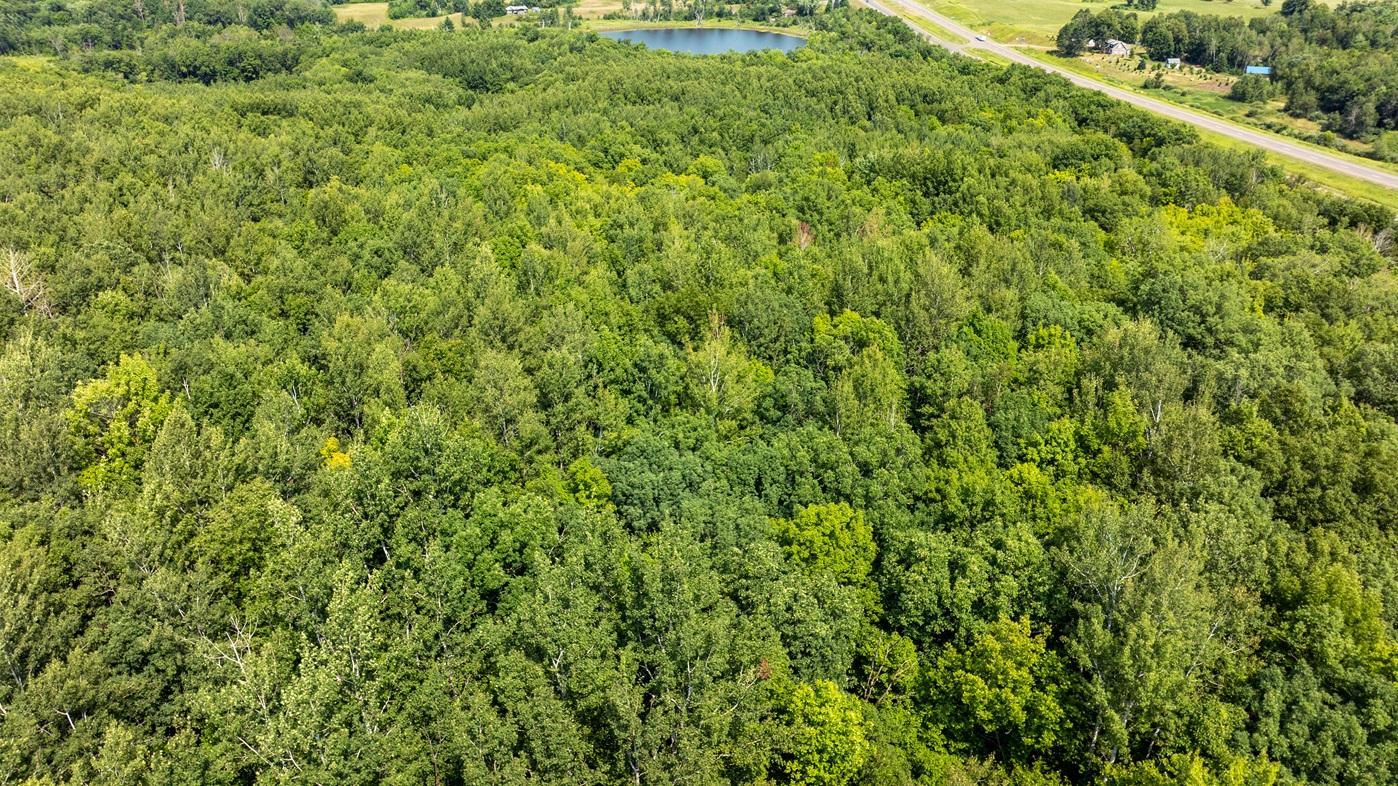 DJI_0434.jpg