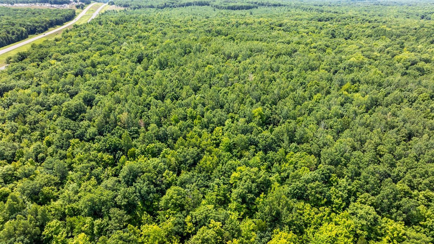 DJI_0432.jpg