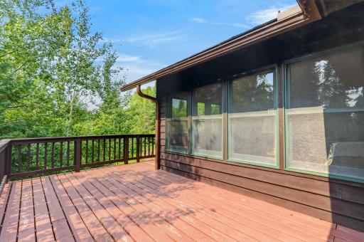 39343 Cedar Heights Road, Bigfork, MN 56628