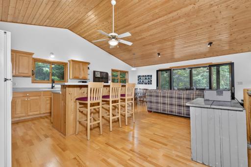 39343 Cedar Heights Road, Bigfork, MN 56628