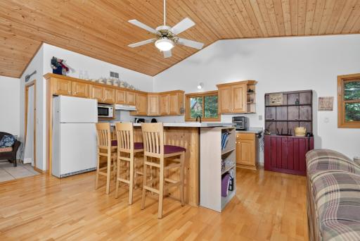 39343 Cedar Heights Road, Bigfork, MN 56628