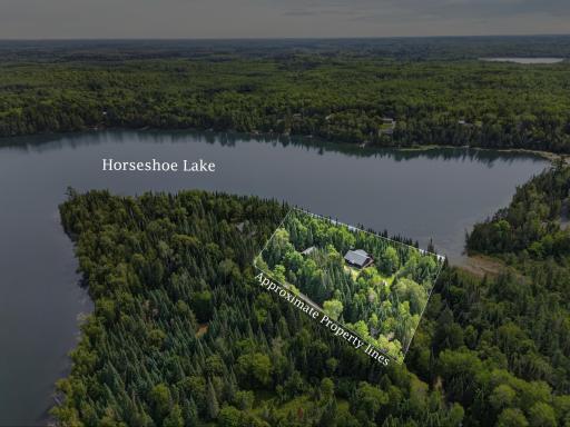 39343 Cedar Heights Road, Bigfork, MN 56628