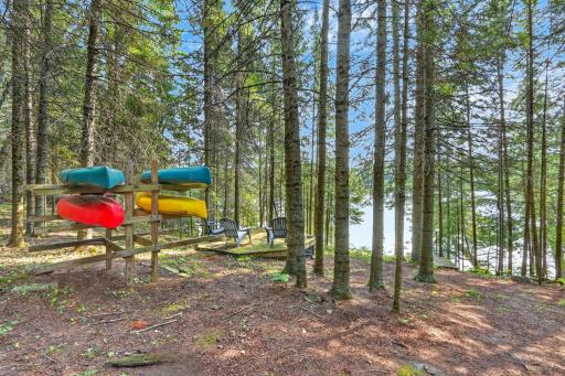 39343 Cedar Heights Road, Bigfork, MN 56628