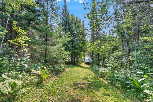 39343 Cedar Heights Road, Bigfork, MN 56628