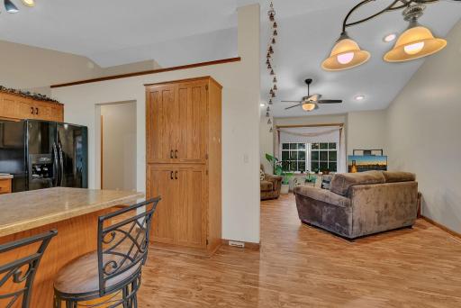 LED lighting throughout the Home