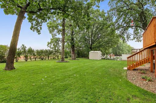 No backyard Neighbors