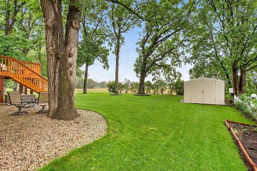Great landscaping
