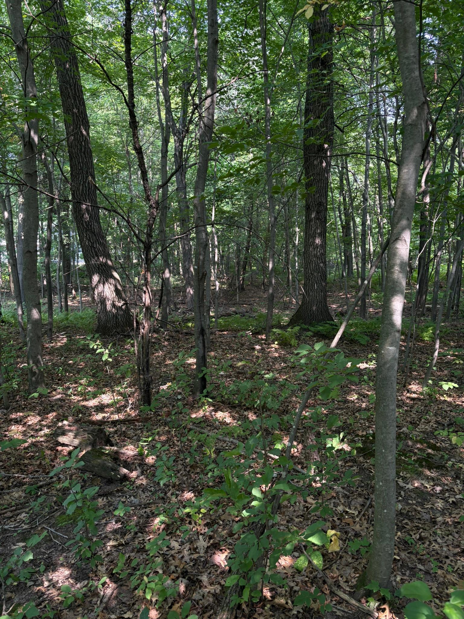 Property photo for TBD 366th Street, North Branch, MN 55056