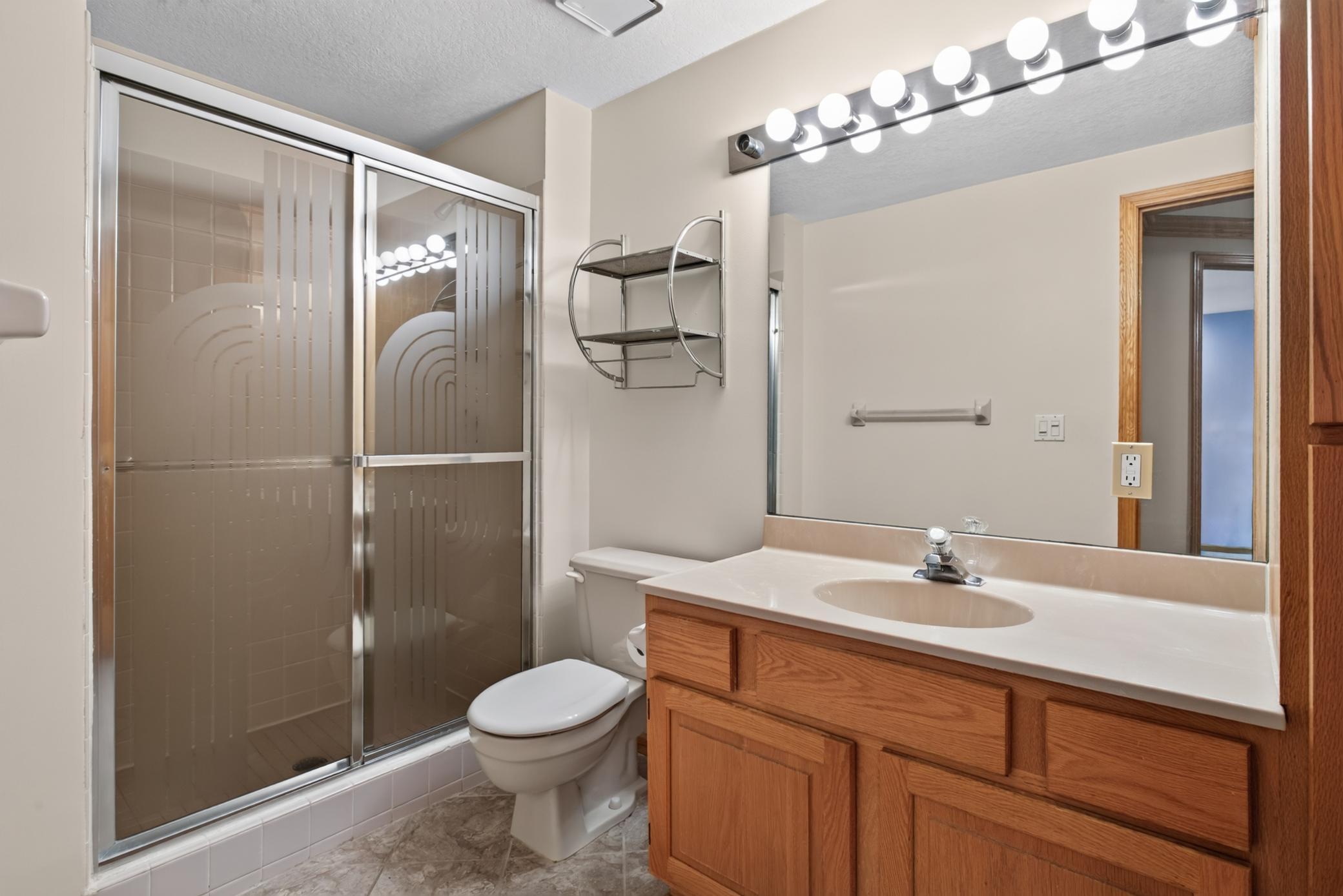 Lower Level Bathroom