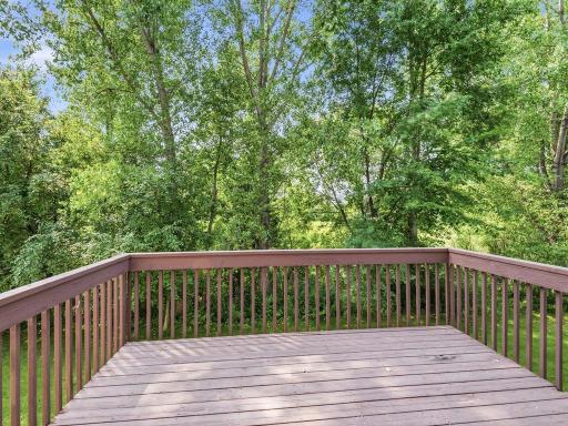 9004 Marsh Run Street, Rockford, MN 55373