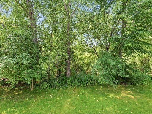 9004 Marsh Run Street, Rockford, MN 55373