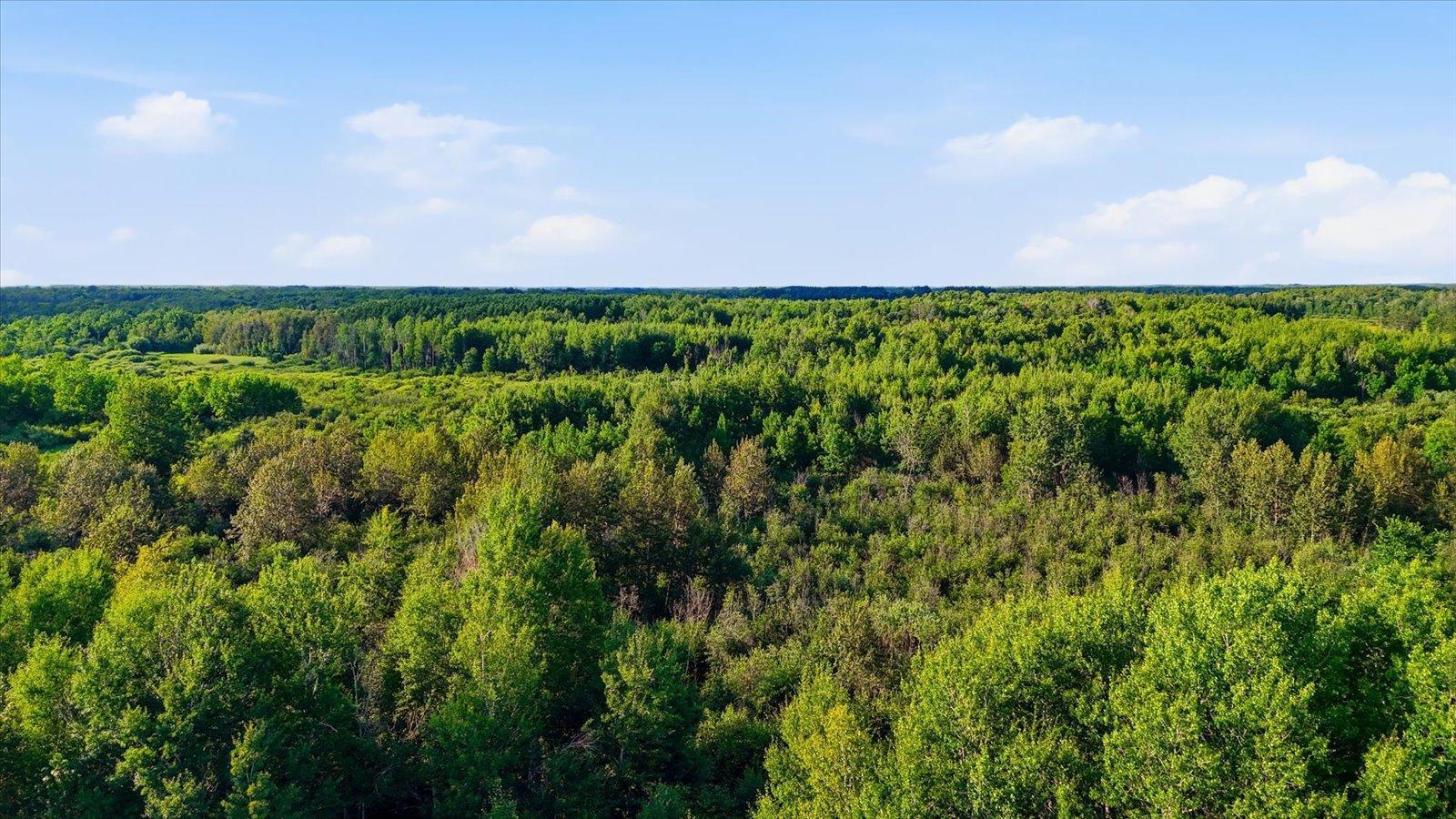 14-DJI_20260805181955_0495_D.jpg
