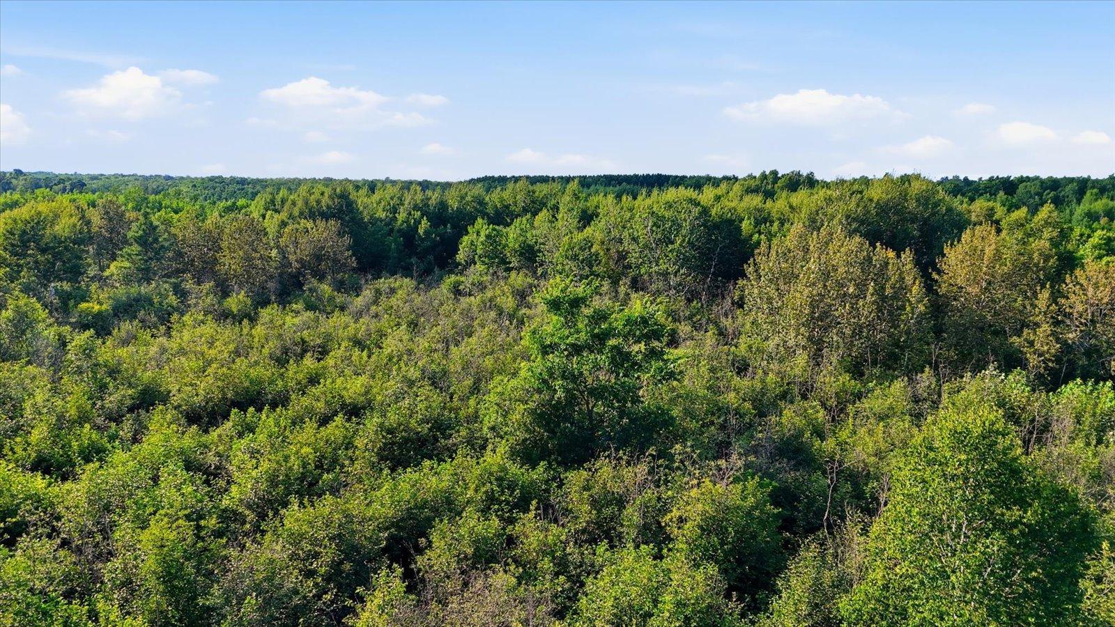 09-DJI_20260805181711_0465_D.jpg