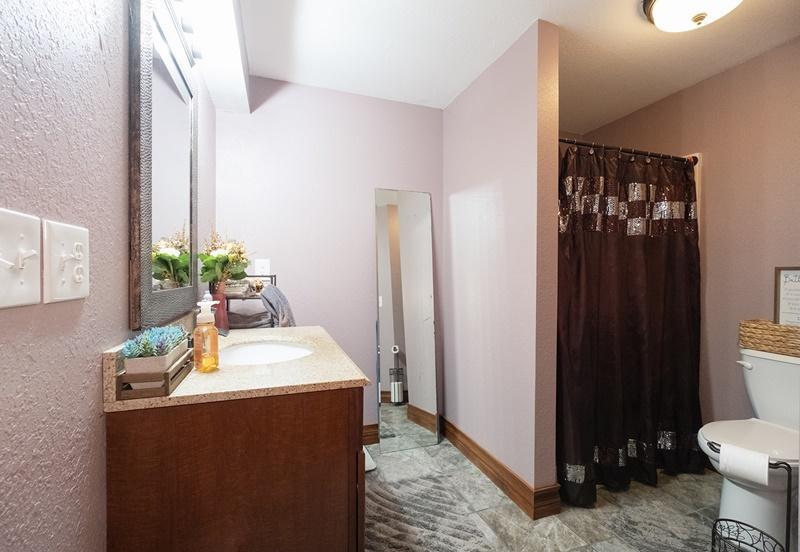 Lower level bathroom