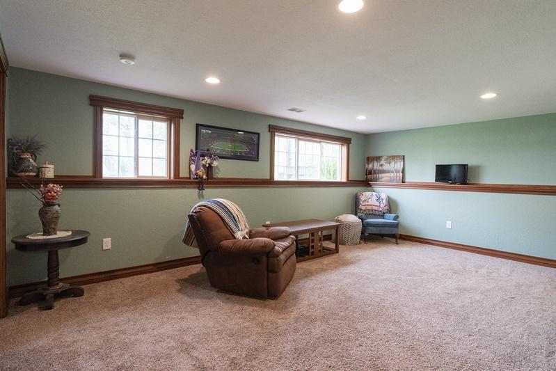 Lower level Family Room