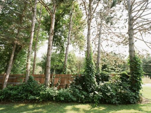 9295 RoseHaven Boulevard, Little Falls, MN 56345