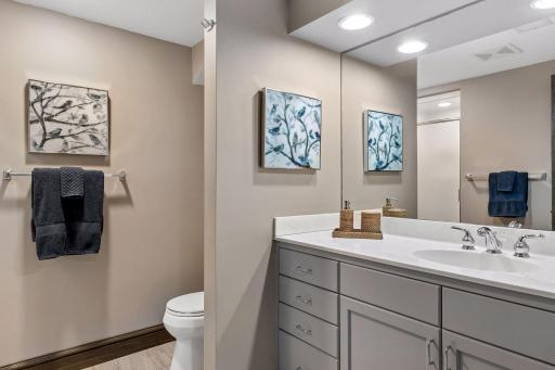 Lower Level Bathroom with Shower