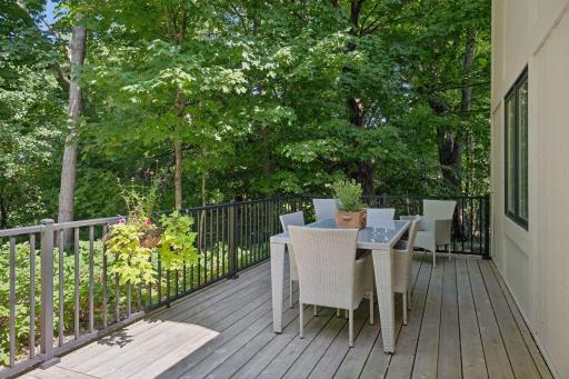 Deck & Private Setting