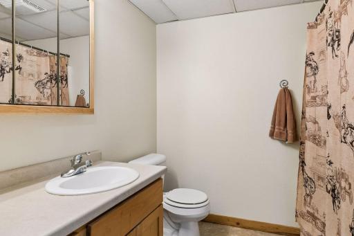Lower-level bathroom