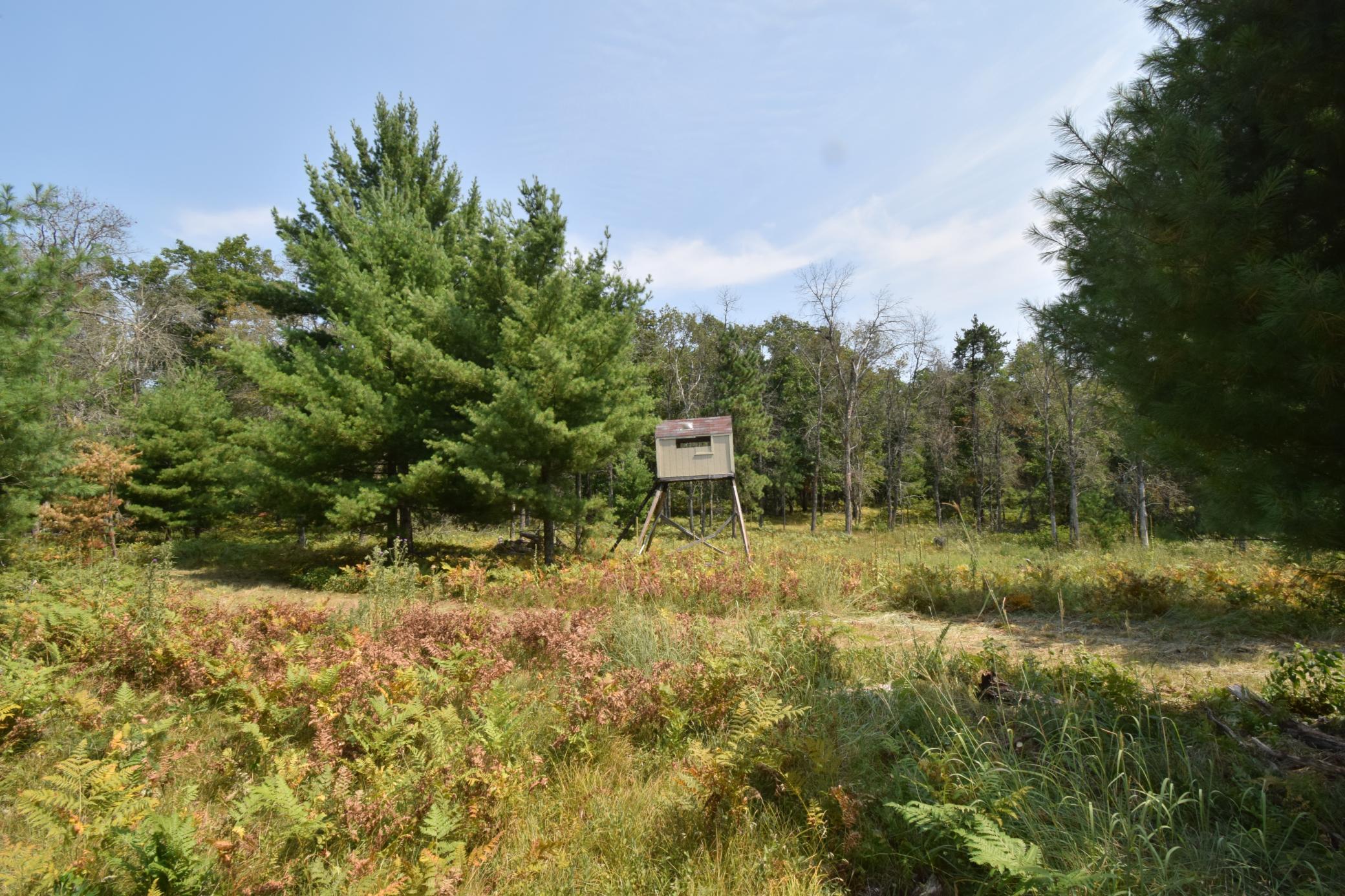 Property photo for Lot 1 Pleasant Acres Trail, Danbury, WI 54830