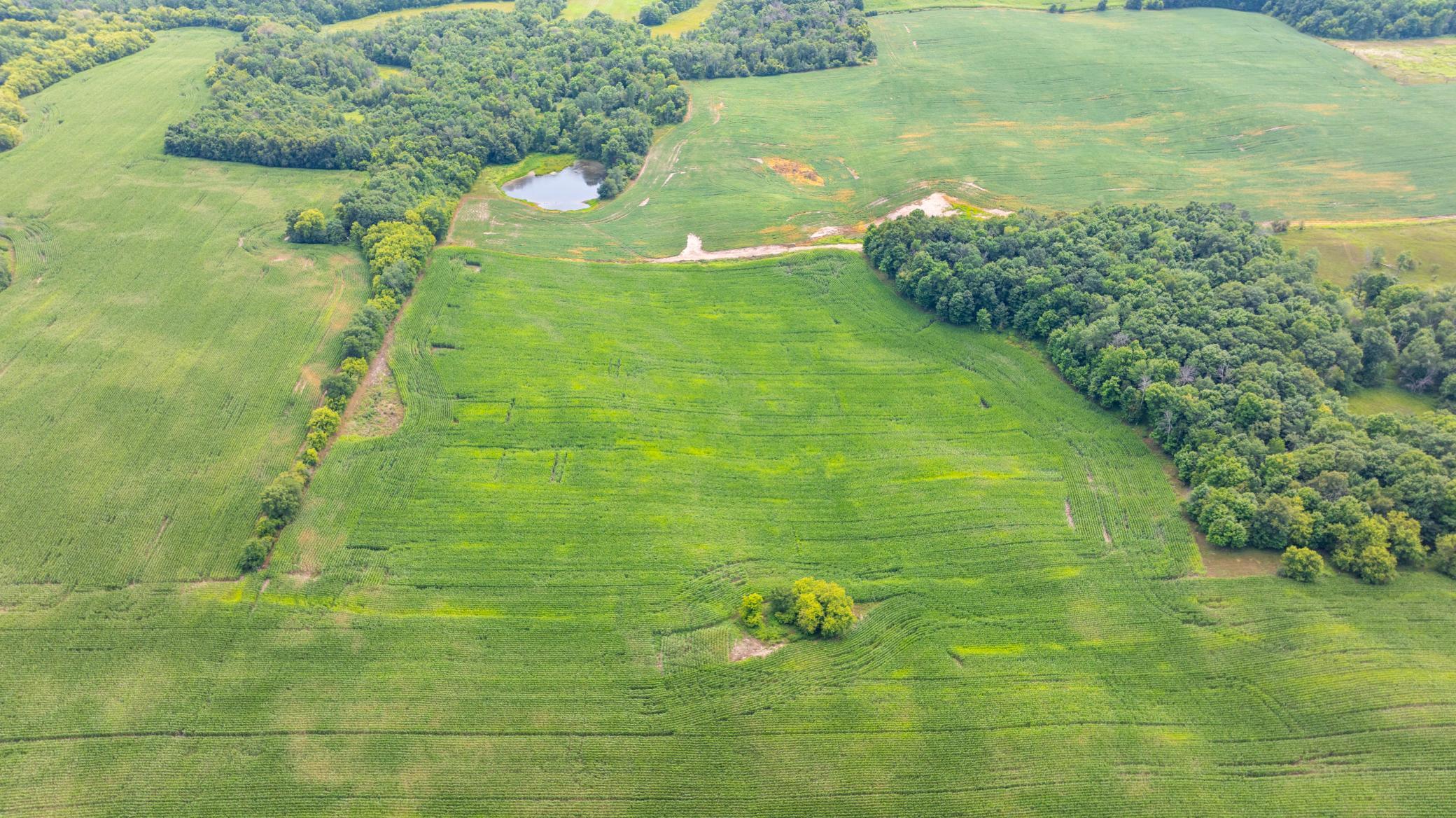 Looking over your property from the North