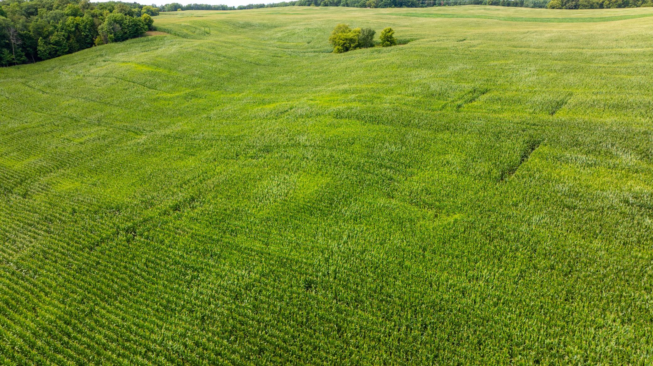 Farm it, Build on it, Hunt it!