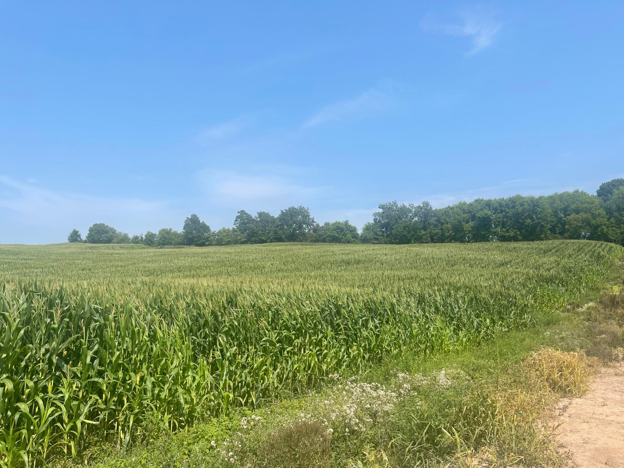 This area is known by the locals to produce Huge deer