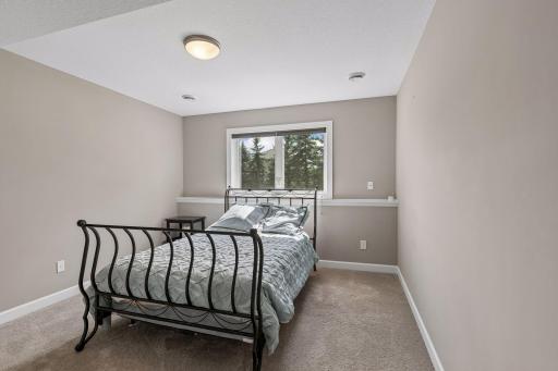Lower level bedroom with a large closet