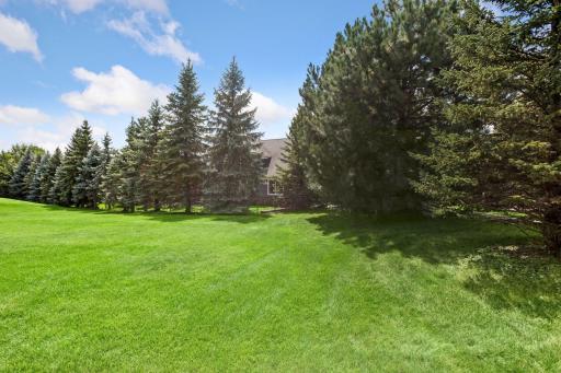 The lot is surrounded by mature trees for privacy