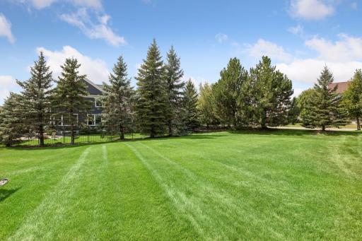 A great level backyard for all to enjoy