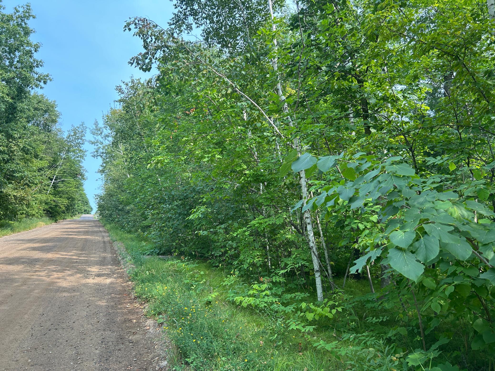 Looking up the adjacent road in the other direction.