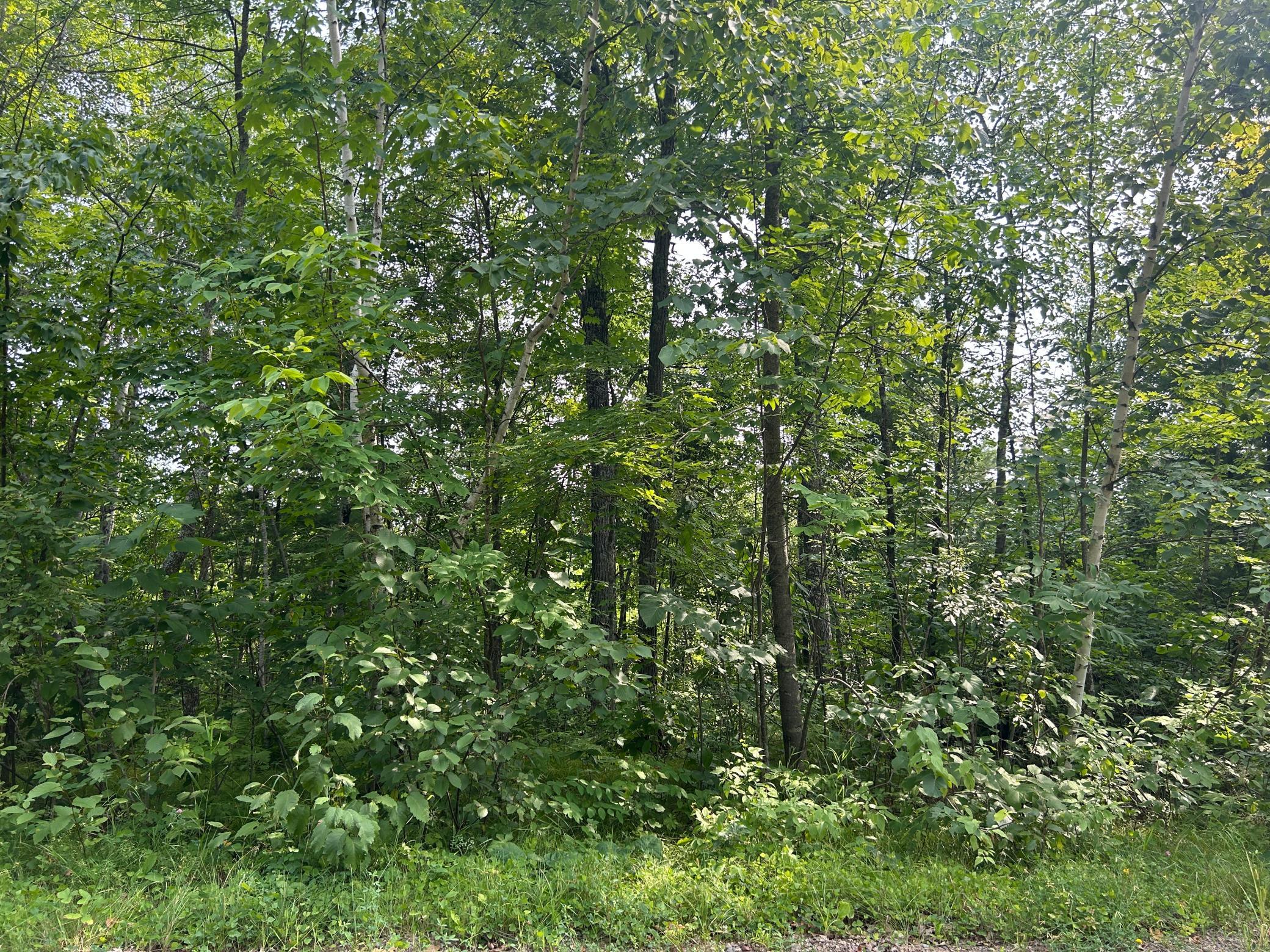 A shot of the property from the road.