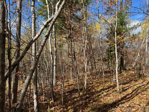 TBD Central Street, Garrison, MN 56450