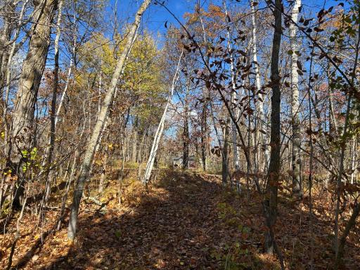 Fall image of the lot with a newly cleared trail loop onto the property for better views of the lot!