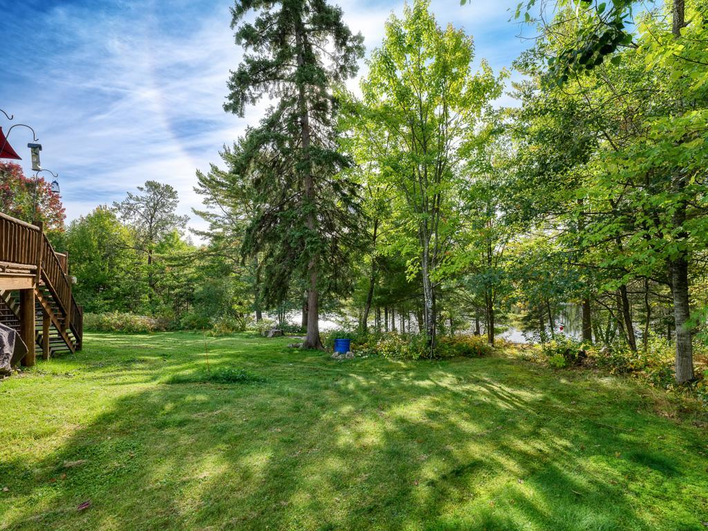 19 - Backyard.jpg