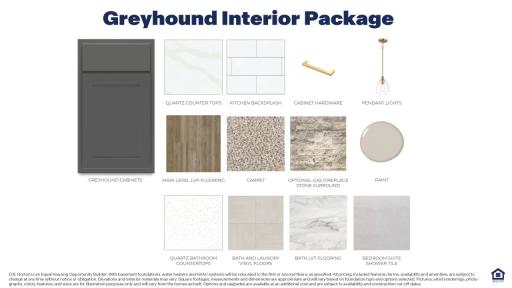 Thoughtfully designed Greyhound interior color package!